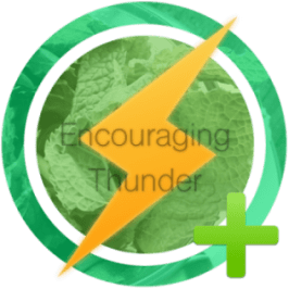 encouraging-thunder-e1427793461525