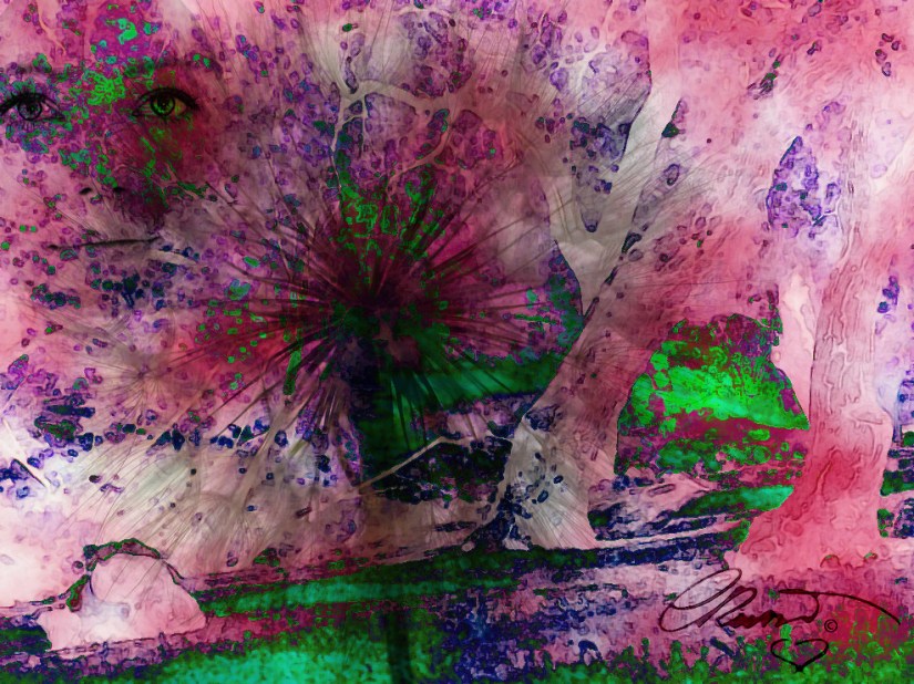 Looking into your eyes...