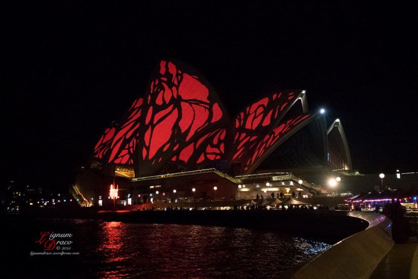 Australia Sidney - VIVID Randomness 2015 - Photography Lignum Draco©