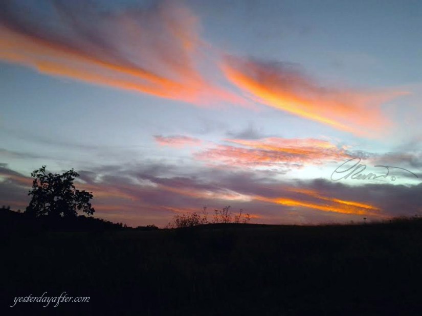 Walking on the hills Photo #2