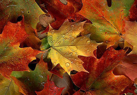 48ea52fff4049723fc6604044559f6dd