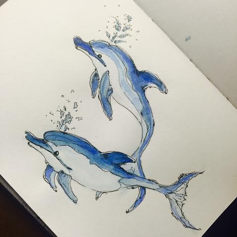 Dolphins