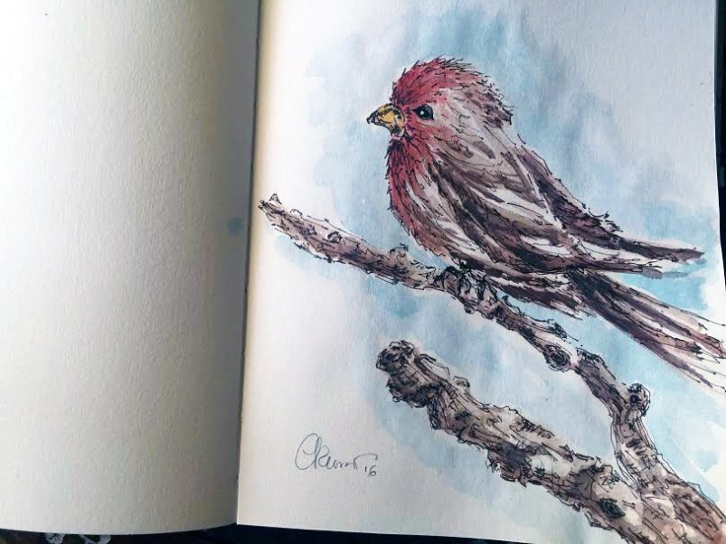 Red Breast Bird - Original Watercolor ©Carolina Russo