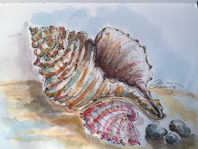 Original Watercolor ©Carolina Russo - 