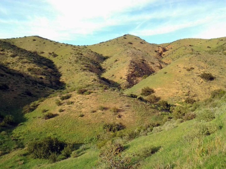Green Hills after the  rain - Photo ©Carolina Russo