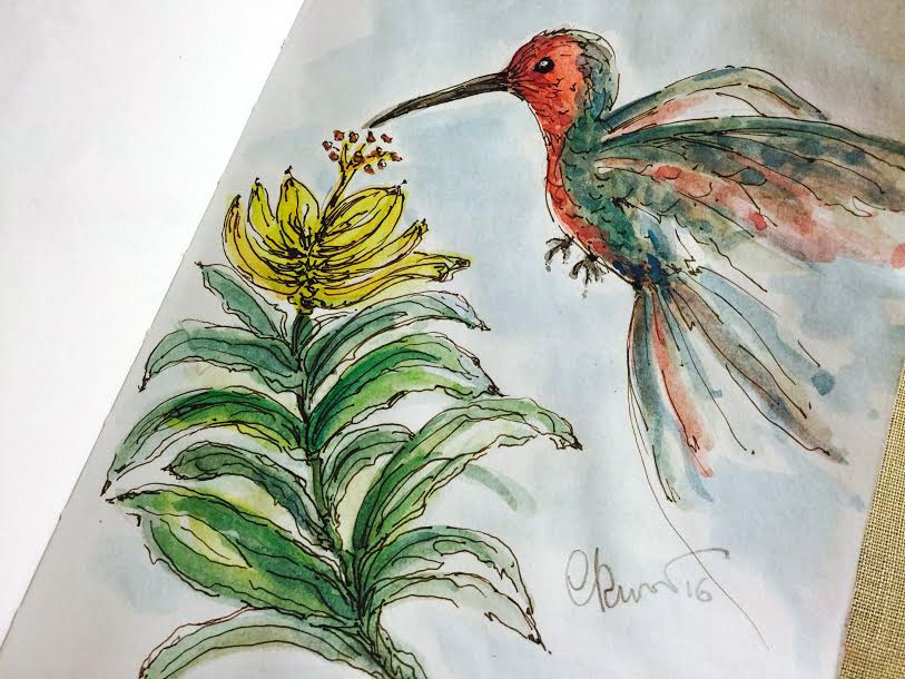 Day #12 -  Hummingbird ©Carolina Russo