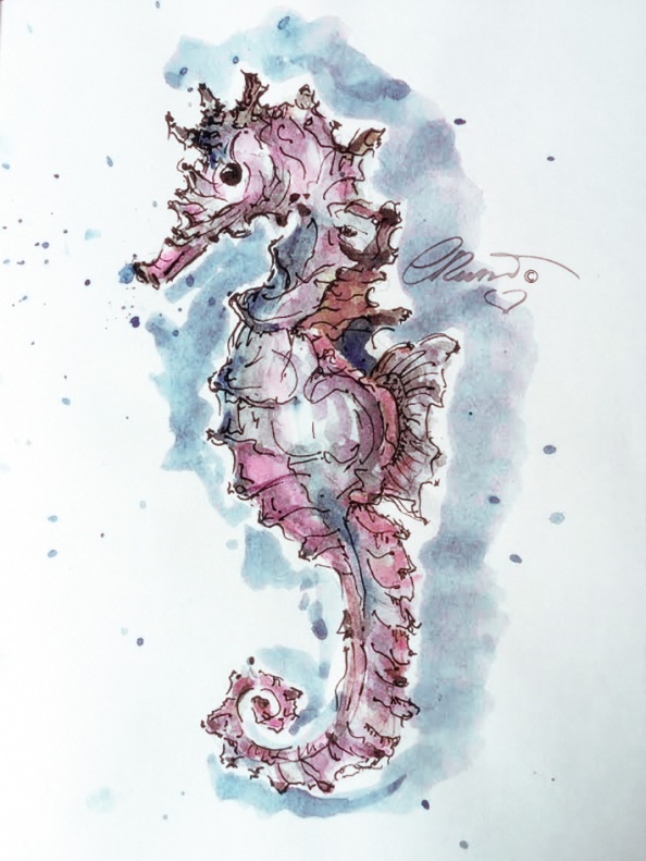 Day #27 - World Watercolor Month -Pink Seahorse - ©Carolina Russo