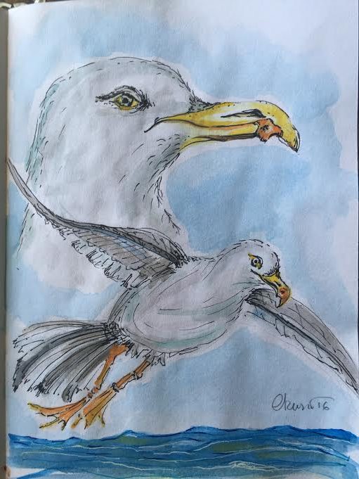 Day #16 - Seagulls - Original Watercolor ©Carolina Russo