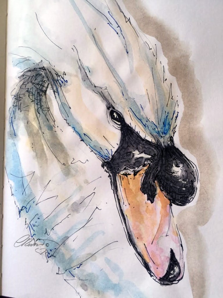 Sweet Swan - Original Watercolor ©Carolina Russo