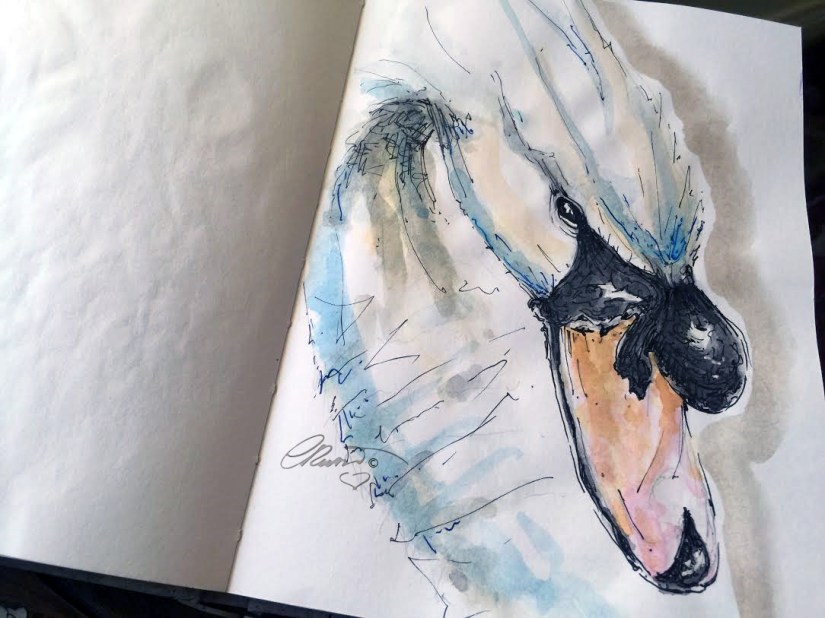 Sweet Swan - Original Watercolor ©Carolina Russo