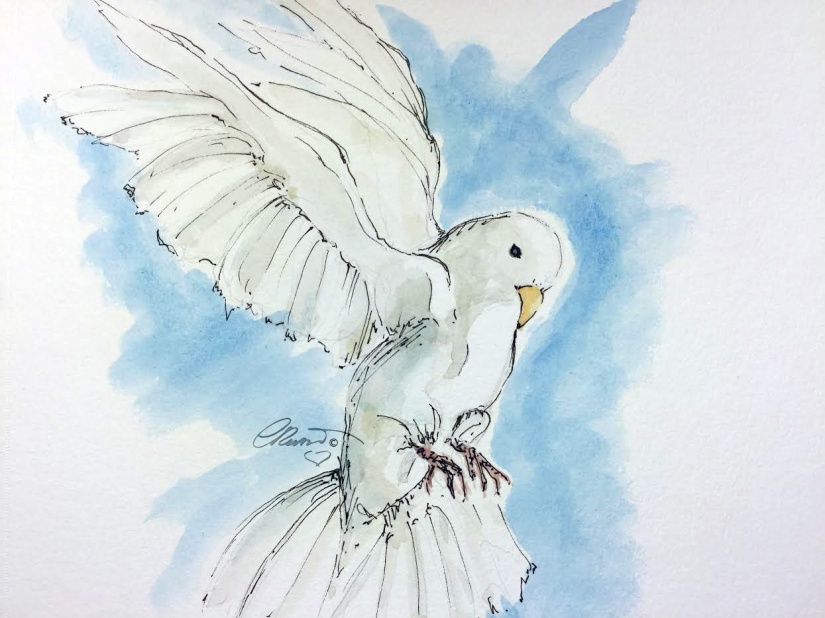 White Dove - Original Watercolor © Carolina Russo