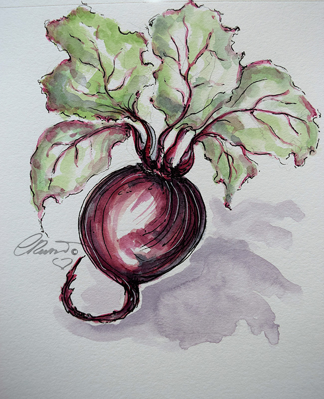 Beets - Original Watercolor ©Carolina Russo