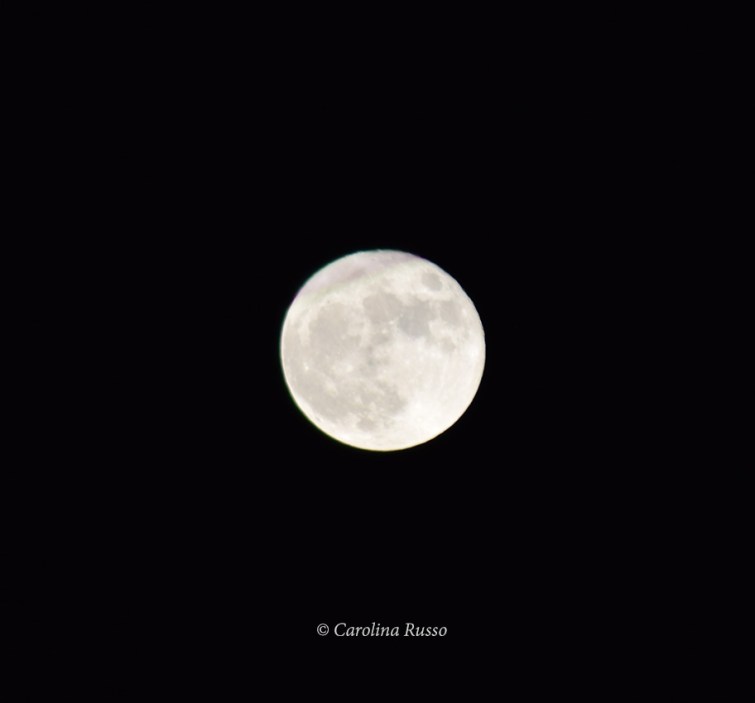 Super Full Moon - Photography ©Carolina Russo