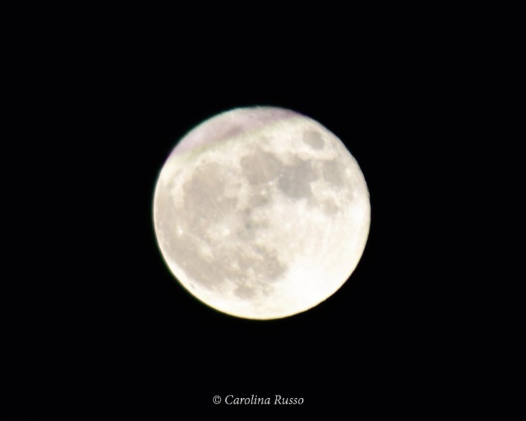 Super Full Moon - Photography ©Carolina Russo