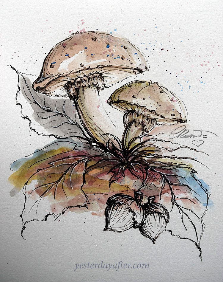 Mushrooms- Original Watercolor ©Carolina Russo
