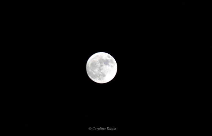 Super Moon - Photography ©Carolina Russo