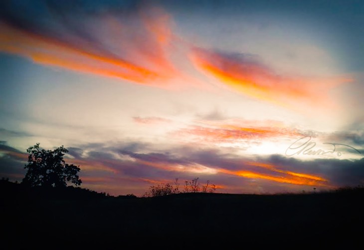 Overwhelming Beauty - Photo ©Carolina Russo