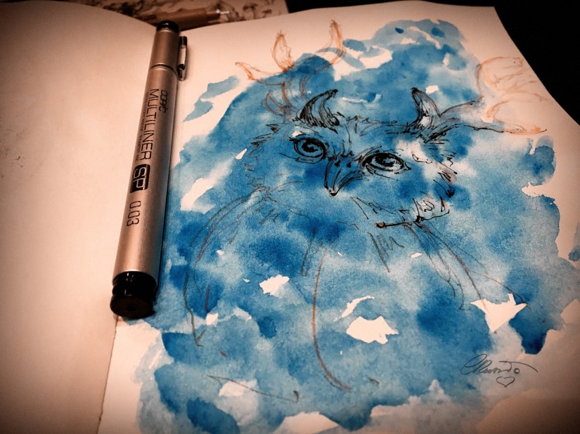 Blue Owl - Original Watercolor Ink Sketch ©Carolina Russo